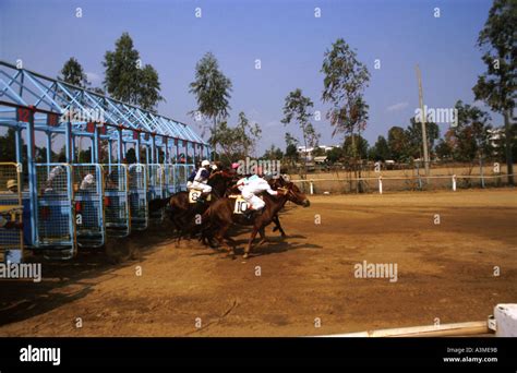 Jockey Vietnam .